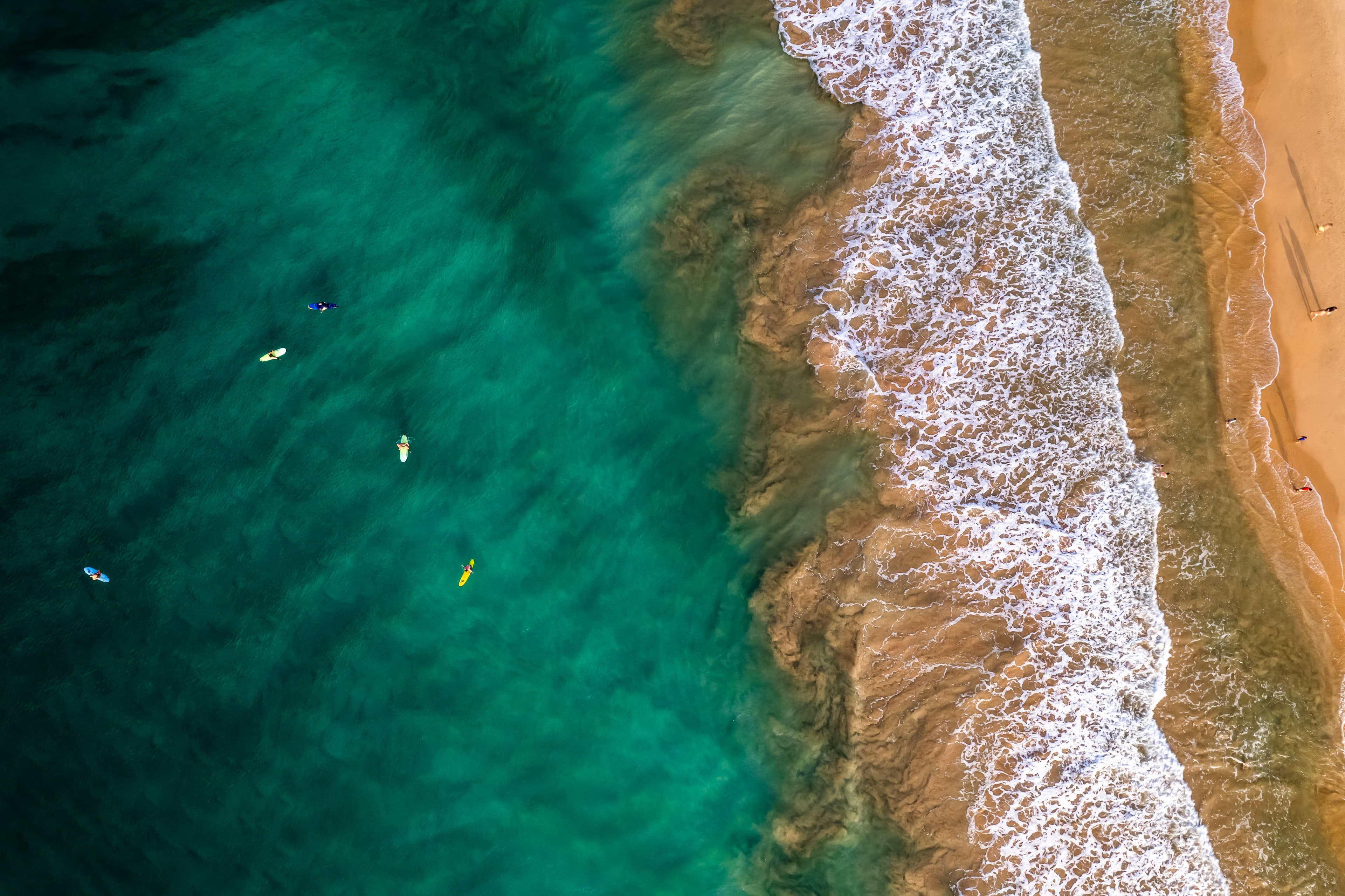 Dawn surfers